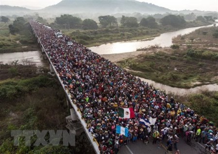 Brasil se retira del Pacto Mundial sobre Migración  - ảnh 1