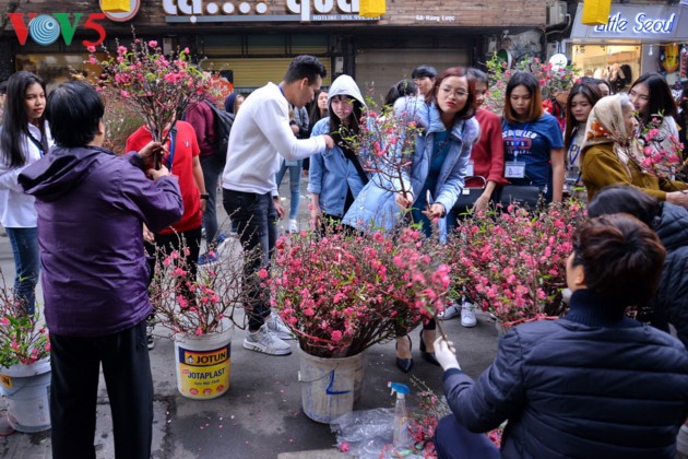 Ambiente del Tet vietnamita en ojos de jóvenes foráneos - ảnh 10