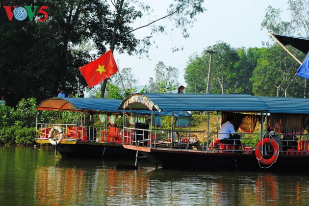 La belleza de las islas de té Thanh Chuong - ảnh 2