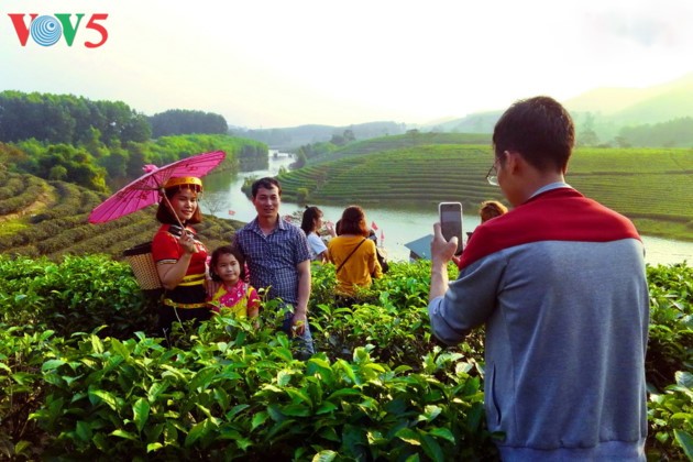 La belleza de las islas de té Thanh Chuong - ảnh 10