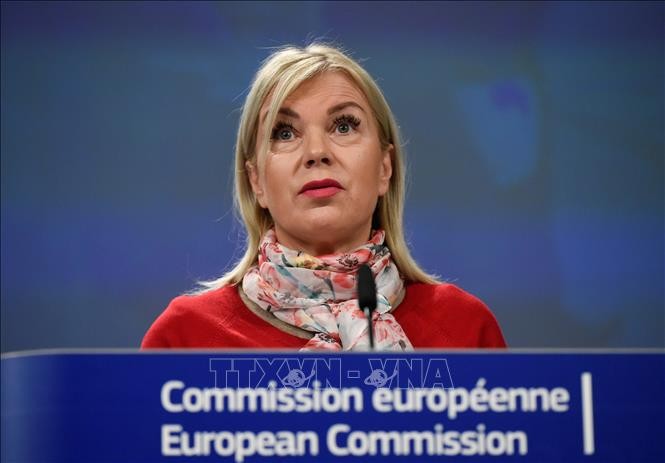 Unión Europea refuerza su capacidad en defensa  - ảnh 1