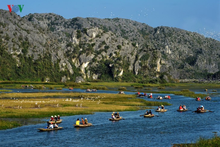  La magnífica belleza de la Reserva Natural de Van Long   - ảnh 1