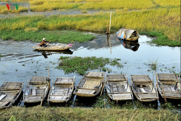  La magnífica belleza de la Reserva Natural de Van Long   - ảnh 7