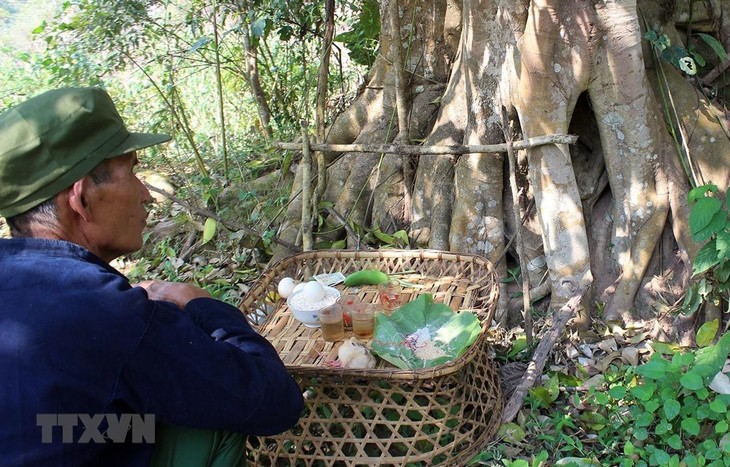 Reconocen el ritual Ga Ma Thu como patrimonio nacional  - ảnh 1