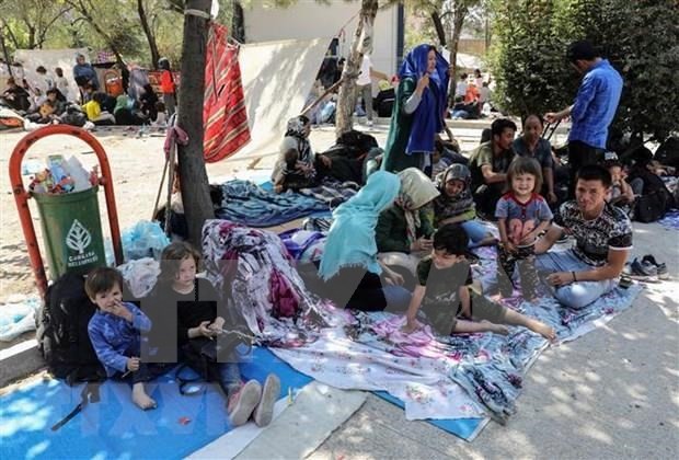 Asean expresa preocupación por la difícil situación de los niños en los conflictos armados - ảnh 1