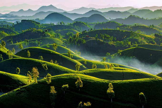 Las 10 fotos ganadoras del concurso “Vietnam visto desde arriba” - ảnh 5