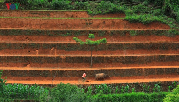 Mu Cang Chai nombrado entre los 50 lugares más bellos del mundo  - ảnh 5