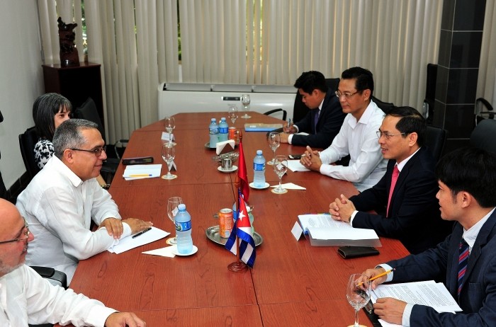 Realizan Vietnam y Cuba quinta consulta política  - ảnh 1