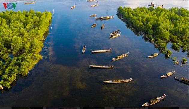 El encanto del pantano de Quang Loi - ảnh 10