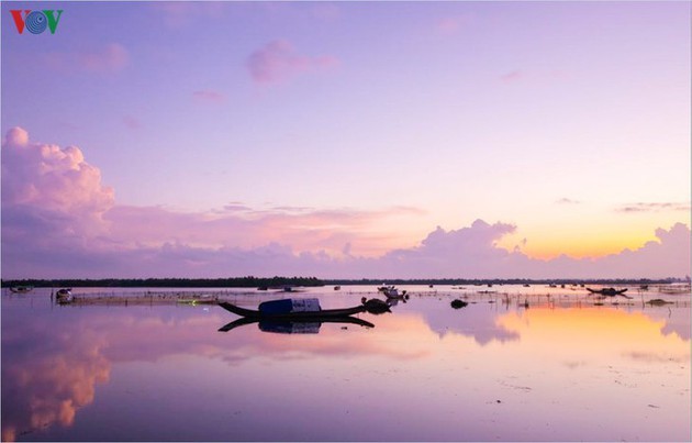 El encanto del pantano de Quang Loi - ảnh 11