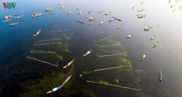 El encanto del pantano de Quang Loi - ảnh 3