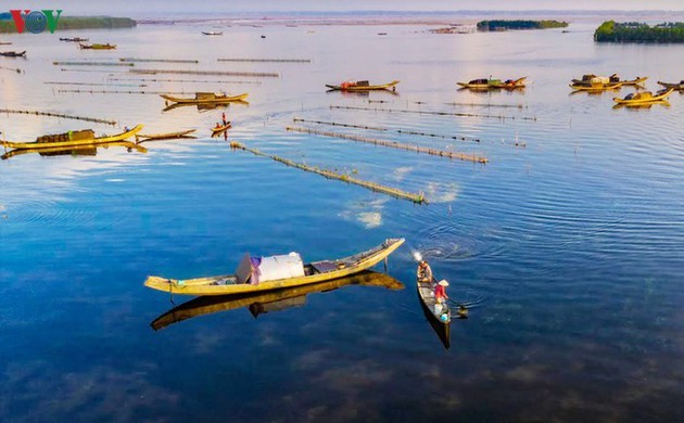 El encanto del pantano de Quang Loi - ảnh 5