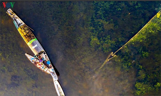 El encanto del pantano de Quang Loi - ảnh 6