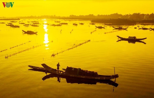 El encanto del pantano de Quang Loi - ảnh 8