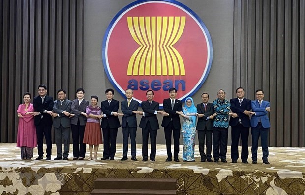 Celebran en Yakarta reunión sobre la cooperación de la Asean+3 - ảnh 1