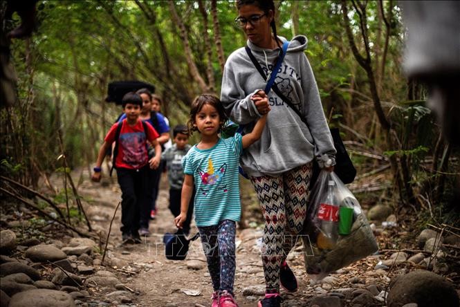 FAO advierte sobre desnutrición infantil en América Latina a causa de coronavirus  - ảnh 1