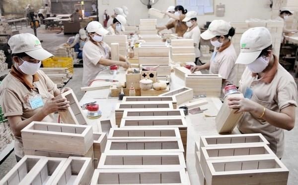 Sector de producción maderera de Vietnam por cumplir tarea trazada pese a impactos negativos de Covid-19 - ảnh 1