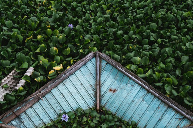 Vida cotidiana de los habitantes del centro de Vietnam a través de los ojos de un fotógrafo japonés - ảnh 2