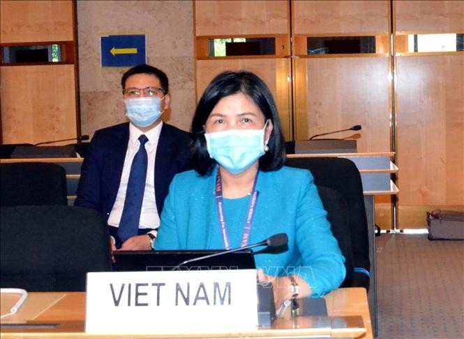 Activa Vietnam en 44 período de sesiones del Consejo de Derechos Humanos de la ONU - ảnh 1