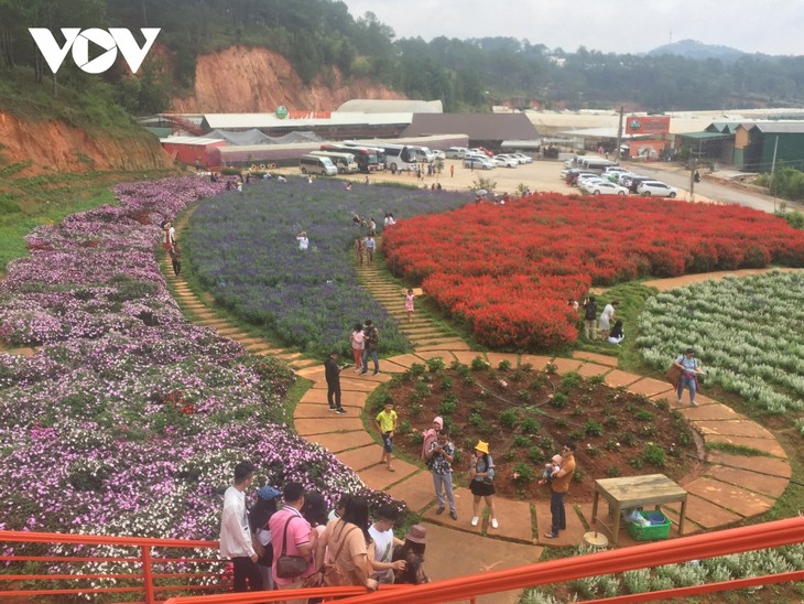  La provincia de Lam Dong estimula la demanda turística - ảnh 1