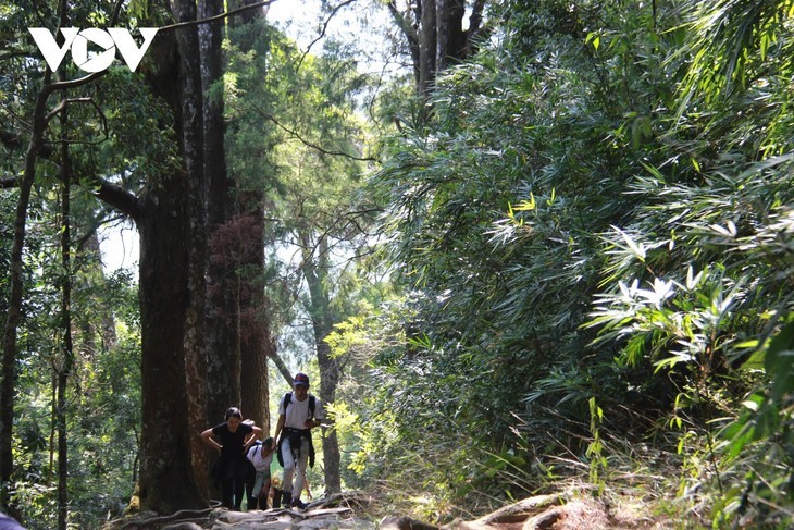 Montaña Yen Tu - un popular destino turístico de otoño - ảnh 3