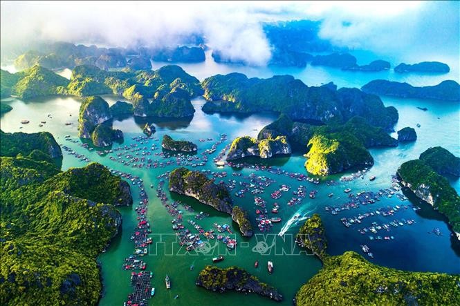 Vietnam completa documentos para solicitar reconocimiento de Ha Long-Cat Ba como patrimonio mundial - ảnh 1