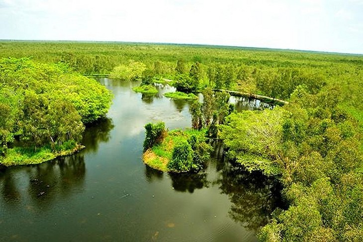 Vietnam entra en la “década de la restauración de ecosistemas” - ảnh 1