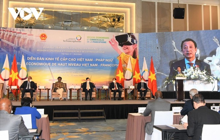 Celebran Foro Económico de Alto Nivel Vietnam-OIF - ảnh 1