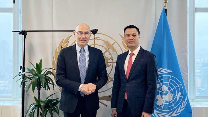 Jefe de la Misión Permanente de Vietnam reunido con secretario general adjunto de la ONU - ảnh 1