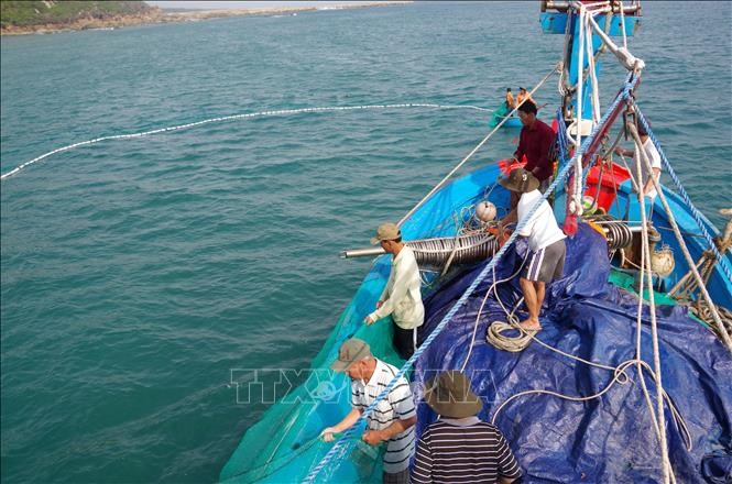 Conferencia de balance de actividades sobre mares e islas - ảnh 1