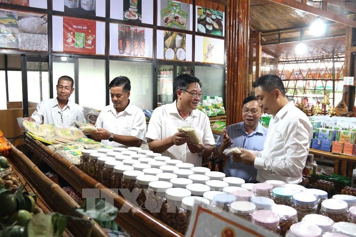 Tra Vinh por lograr de 40 a 50 productos de OCOP cada año  - ảnh 1