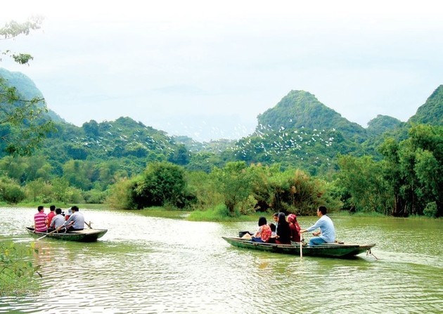 El parque de aves Thung Nham - ảnh 3