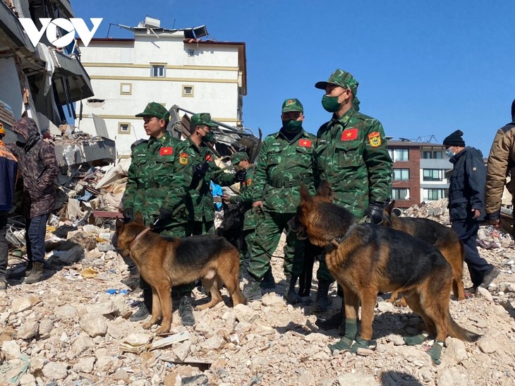 Fuerzas vietnamitas siguen contribuyendo al rescate de víctimas del terremoto en Turquía - ảnh 1