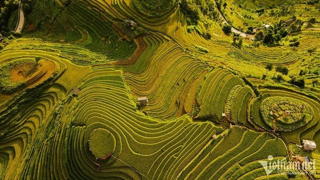 Bahía de Ha Long y Mu Cang Chai entre los 40 destinos más coloridos del mundo - ảnh 1