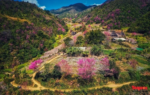 Bahía de Ha Long y Mu Cang Chai entre los 40 destinos más coloridos del mundo - ảnh 6