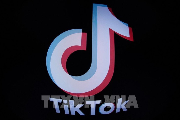 Reino Unido prohíbe TikTok 'con efecto inmediato' en dispositivos gubernamentales - ảnh 1