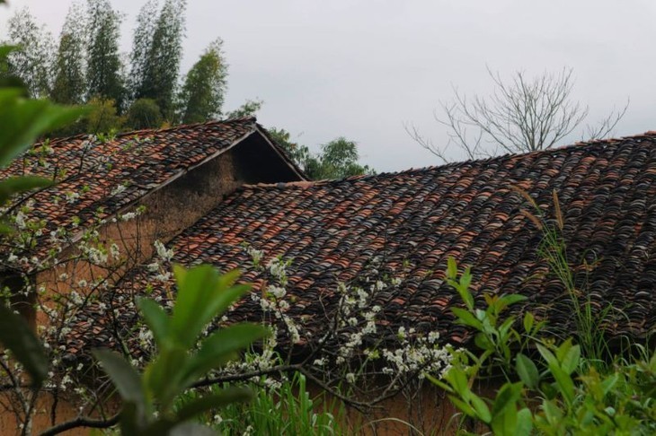 El maravilloso poblado de Thien Huong en Ha Giang - ảnh 7