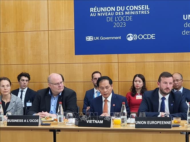 Canciller de Vietnam sostiene encuentros con dirigentes de varios países en París - ảnh 1