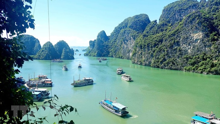 Bahía de Ha Long es otra vez escenario de una película de Hollywood - ảnh 1