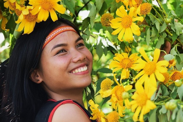 Los girasoles mexicanos florecen en el volcán Chu Dang Ya - ảnh 12