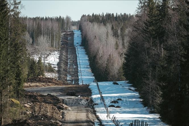 La UE ofrece apoyo a Finlandia en el control de la situación fronteriza - ảnh 1