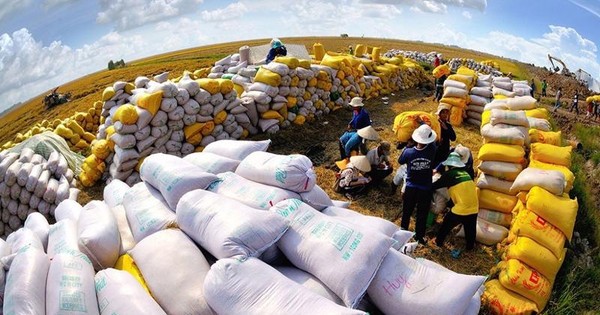 Vietnam comprometido a seguir contribuyendo a la seguridad alimentaria mundial - ảnh 1