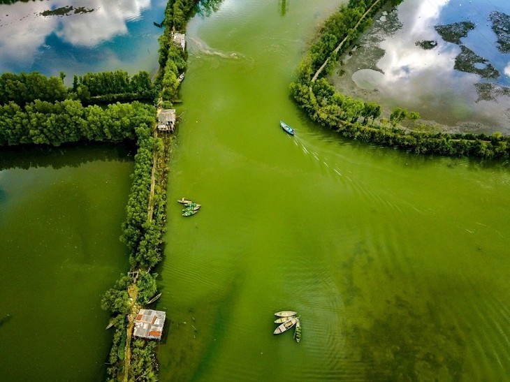 Zona ecológica de Con Chim: la joya verde de Binh Dinh  - ảnh 8