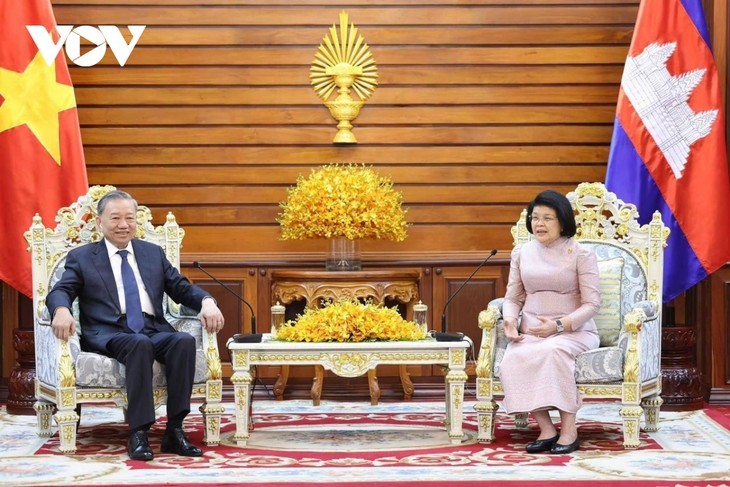 Presidente To Lam se reúne con titular de Asamblea Nacional de Camboya - ảnh 1