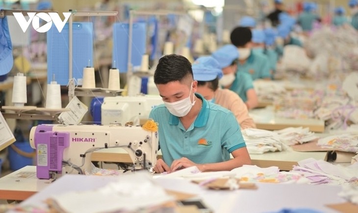 Alentadores signos de empresas textiles de Vietnam - ảnh 1