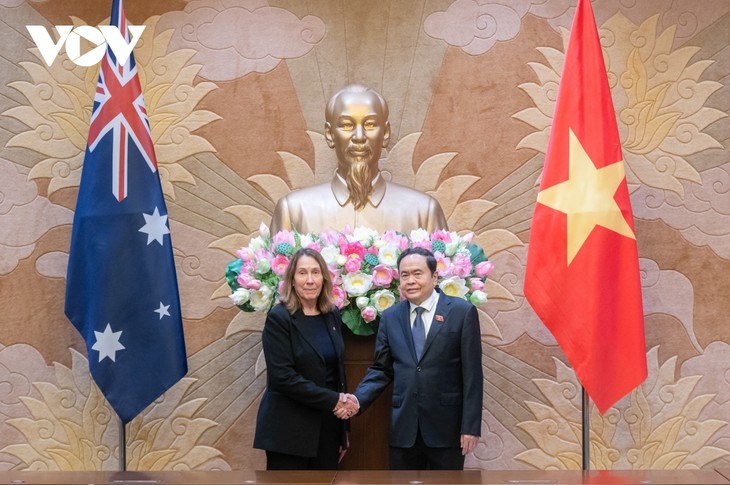 Dirigentes de Vietnam reciben a presidenta del Senado australiano - ảnh 2