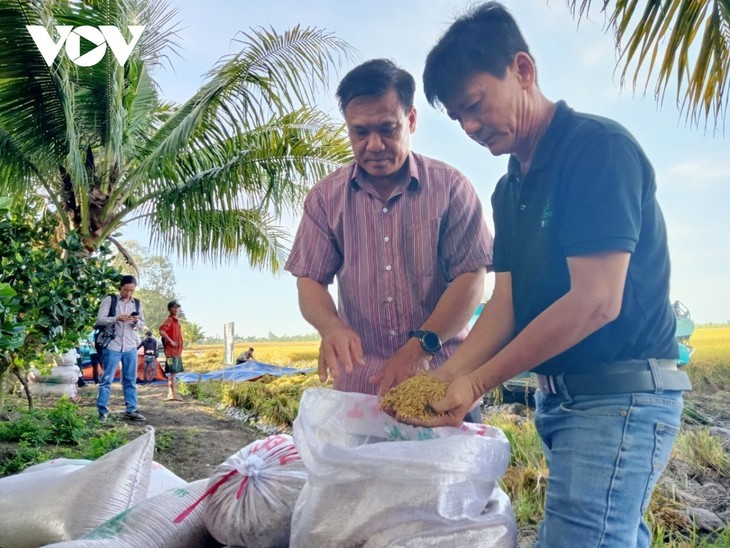 Banco Mundial destaca proyecto de cultivo de arroz de alta calidad y bajas emisiones de Vietnam - ảnh 1