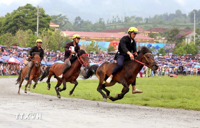 Recorrido por “meseta blanca” de Bac Ha - ảnh 2