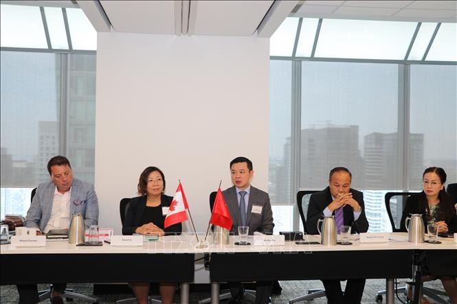 Fomentan cooperación entre empresas vietnamitas y canadienses - ảnh 1