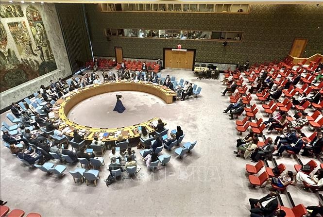 El Consejo de Seguridad de la ONU llama a buscar una salida para las tensiones en Oriente Medio - ảnh 1